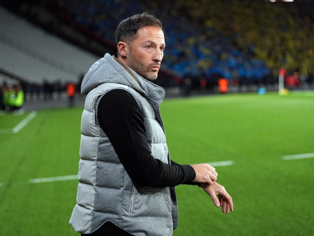Fenerbahce-Trainer Domenico Tedesco